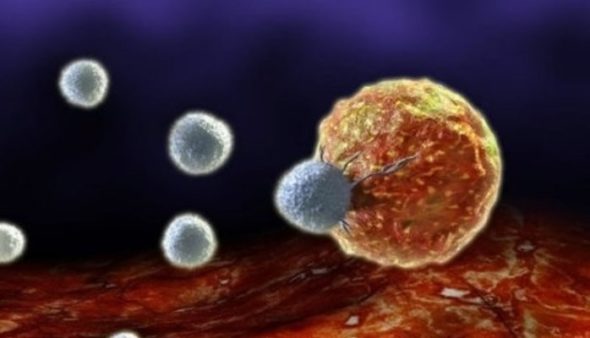 Cancer cells can now be converted into immune cells. A new study reveals the puzzle.!